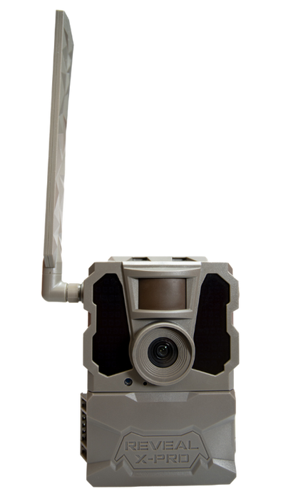 249505562.png