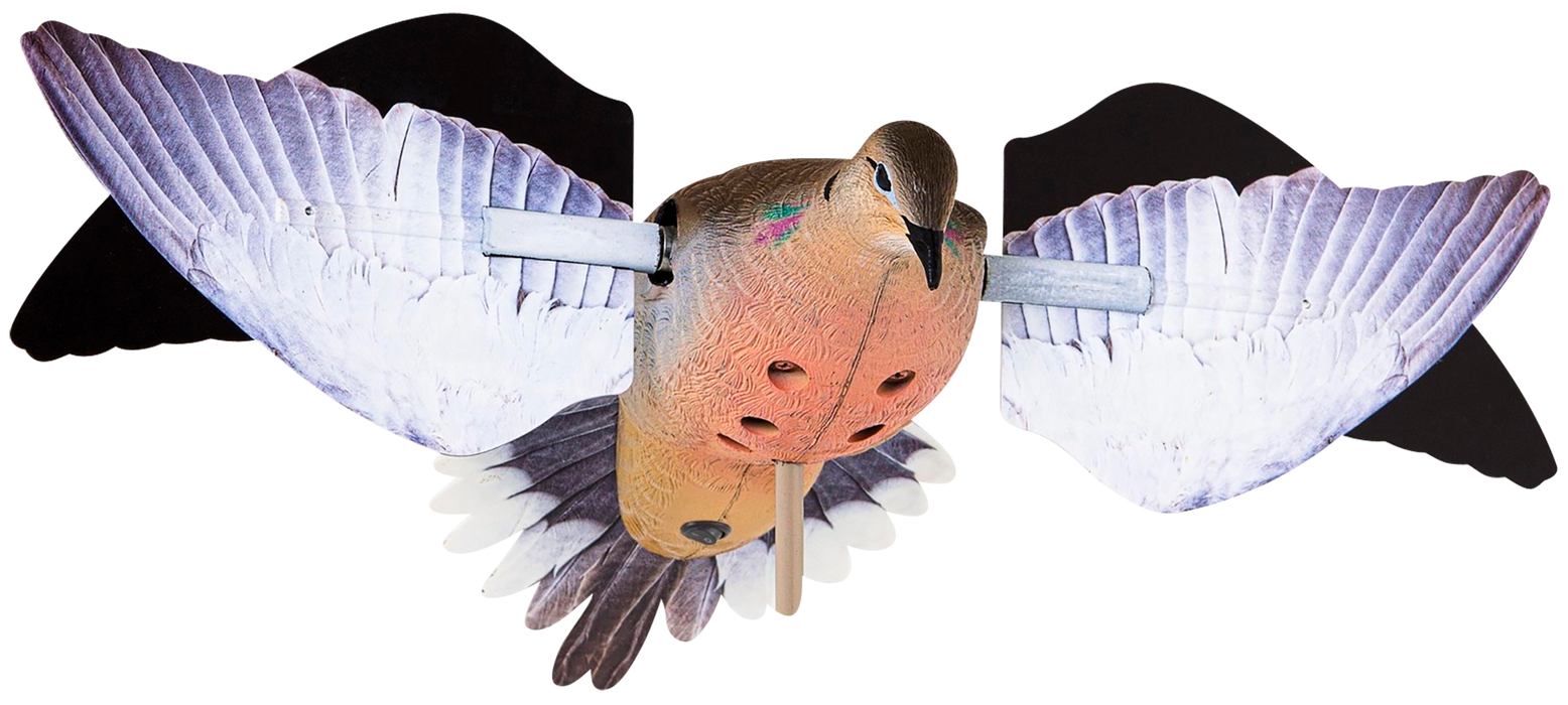 249508184.png