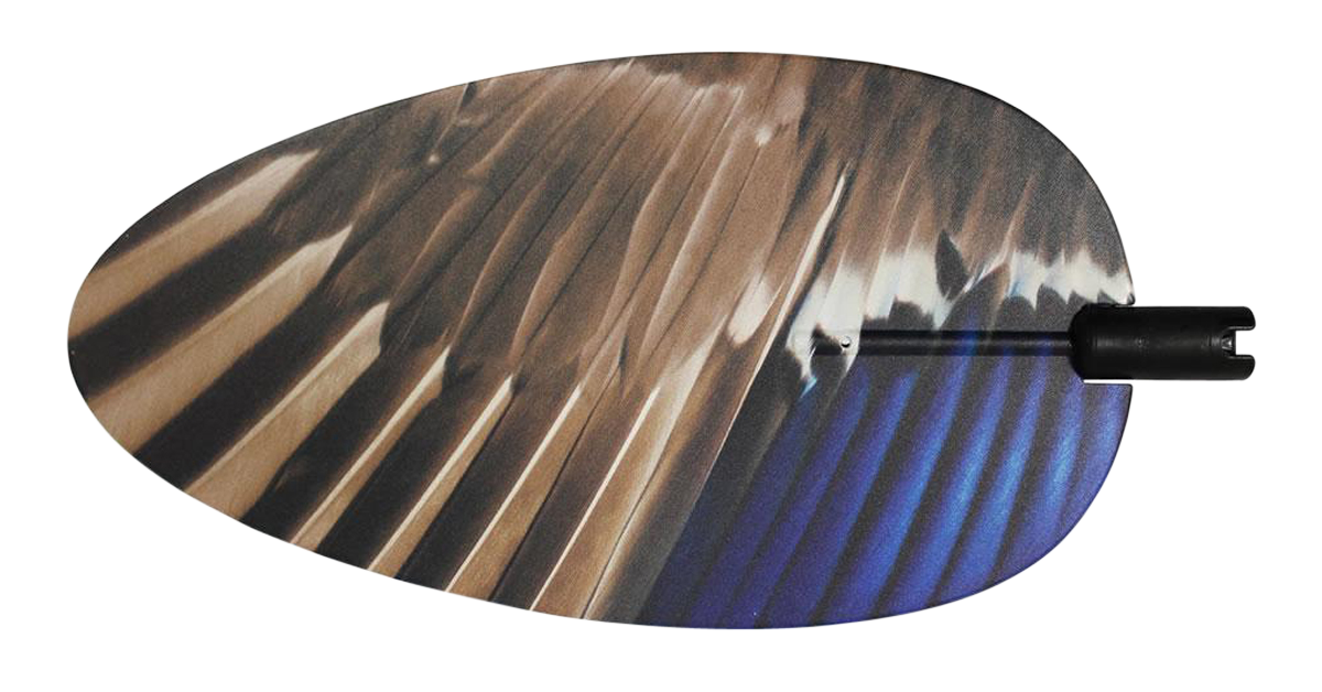 249510210.png
