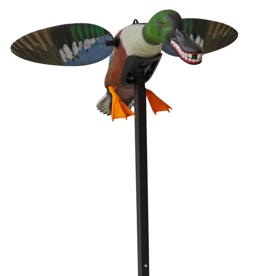 249521254.png