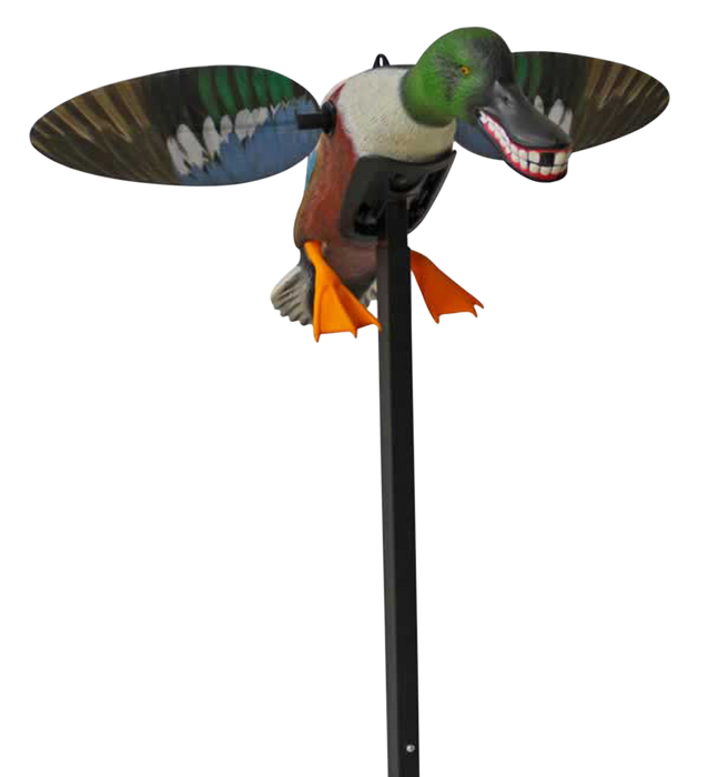 249521254.png