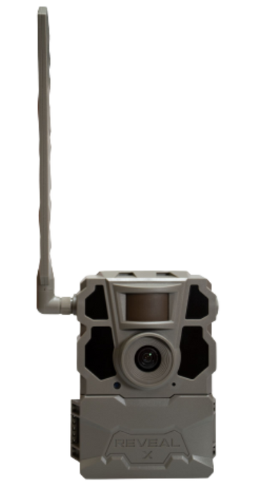 249524781.png