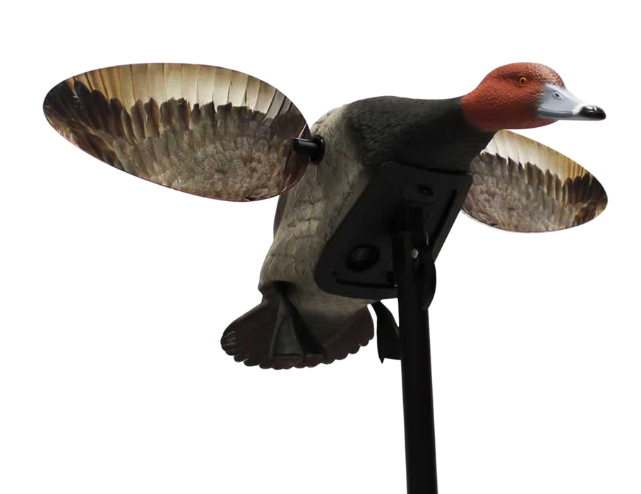 249525556.png
