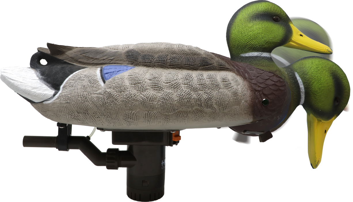 249525762.png