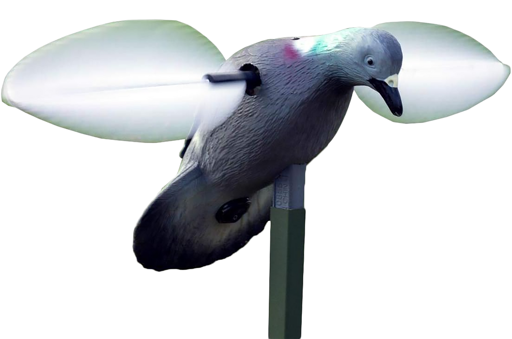 249534569.png