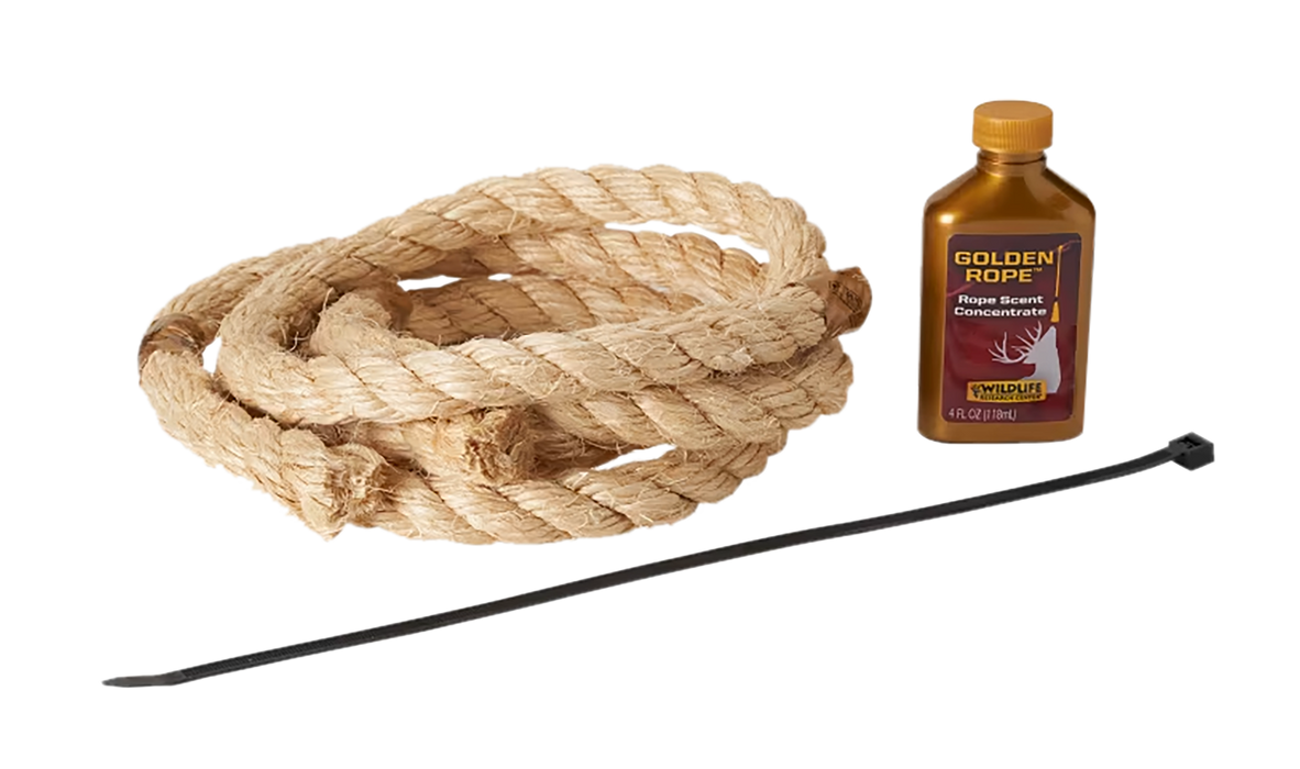 249537088.png