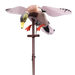 179246.png