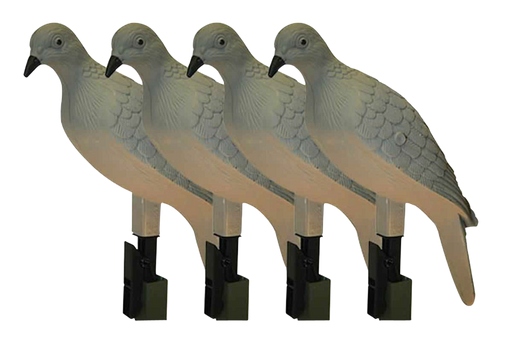 249499056.png
