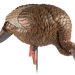249499165.png