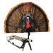 249499294.png