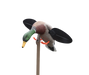 249499398.png