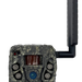 249499554.png