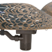 249499622.png