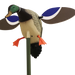 249499754.png