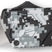 249500027.png