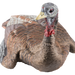 249500296.png