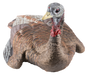 249500296.png