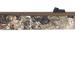 249500309.png