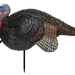 249500368.png