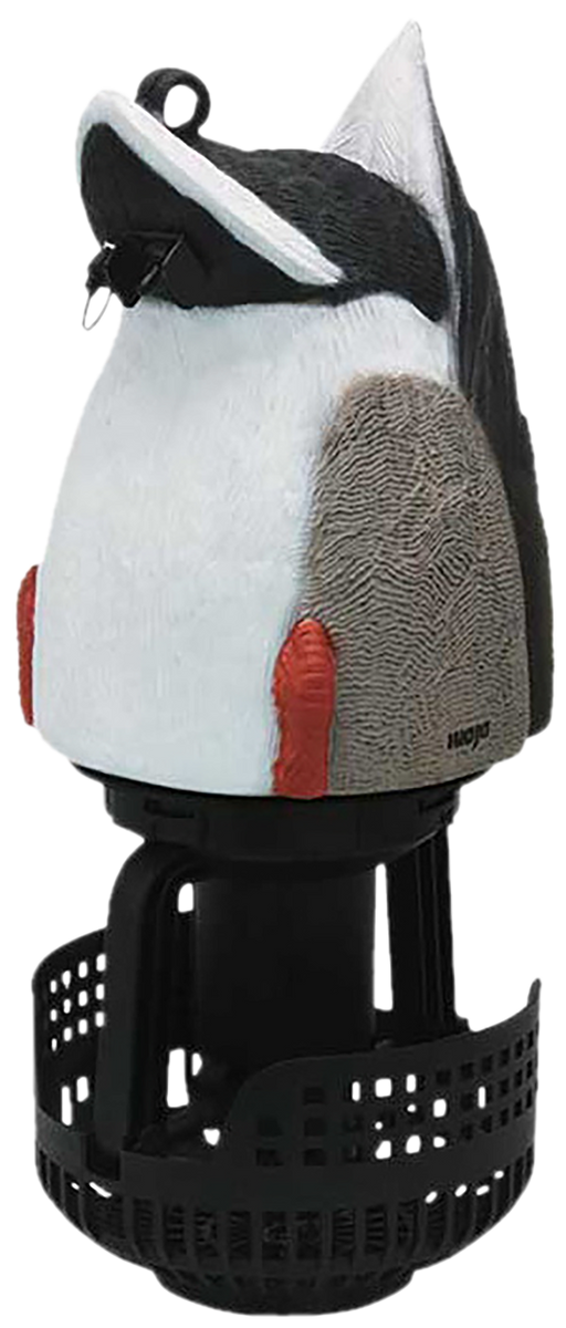 249500576.png