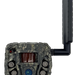 249500612.png