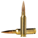 249502023.png