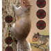 249502226.png