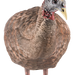 249502234.png
