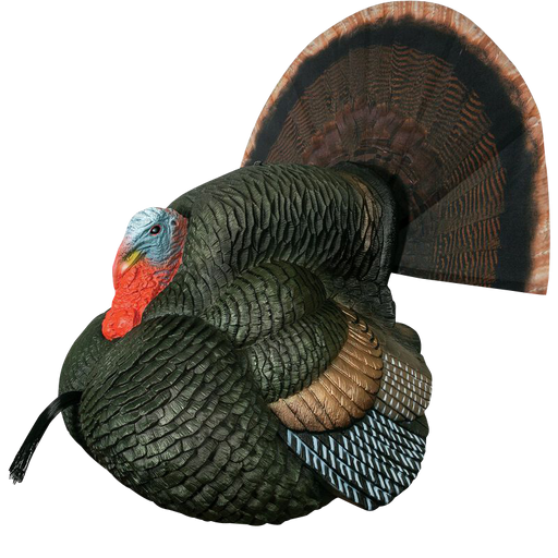 249502436.png