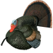 249502436.png