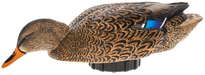 249503335.png