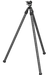 249503646.png