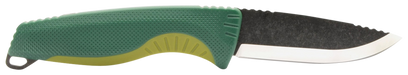 249504137.png