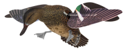 249504437.png