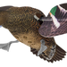 249504437.png