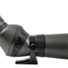 249504479.png
