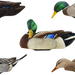 249504651.png