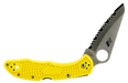 249505126.png