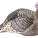 249505841.png