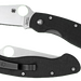 249505925.png