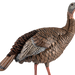 249506128.png
