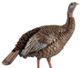 249506128.png