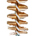 249506182.png