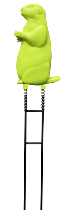 249506183.png