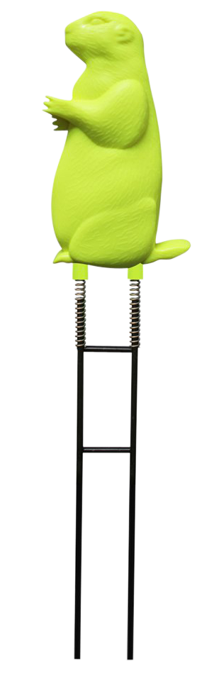 249506183.png