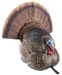 249506218.png