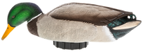 249506402.png
