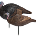 249506454.png