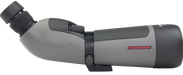 249506597.png
