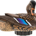 249506682.png